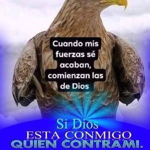 Meet your Posher, Antonia